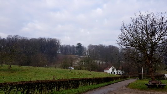 Oud-Valkenburg-Orchideeëntuin Gerendal (5)