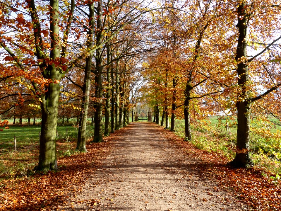 Oud-Valkenburg, Kasteel Schaloen (22)