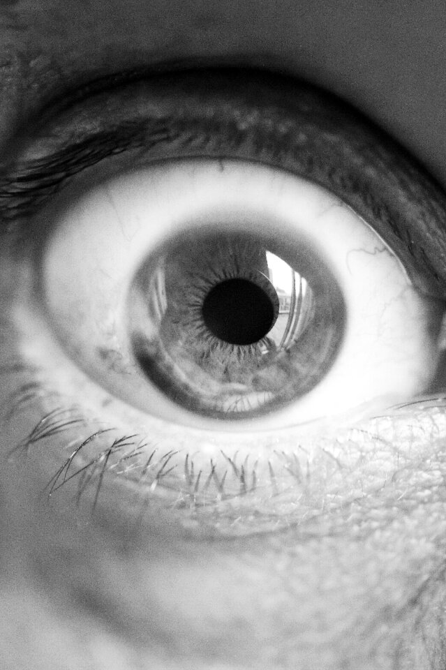See sight vision