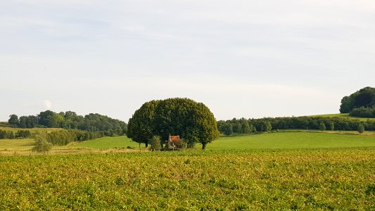Oud-Valkenburg-Sint-Jansboskapel (4)