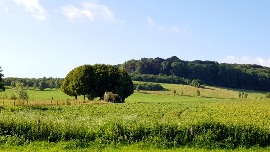 Oud-Valkenburg-Sint-Jansboskapel (1)