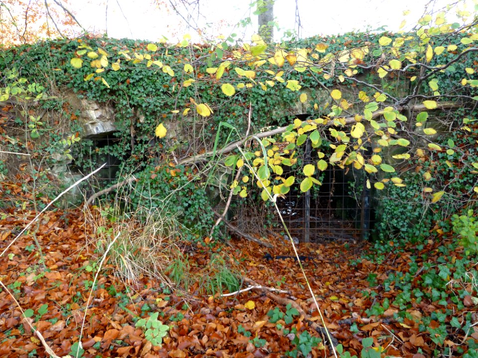 Oud-Valkenburg, Kasteel Schaloen (16)
