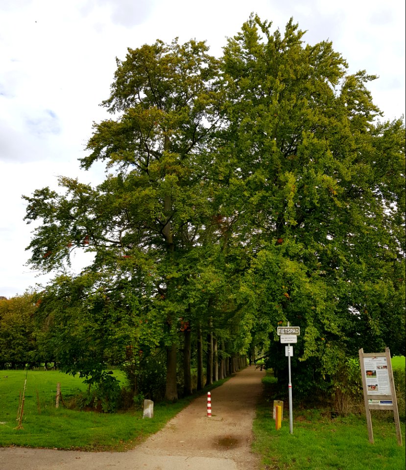 Oud-Valkenburg, Kasteel Schaloen (27)