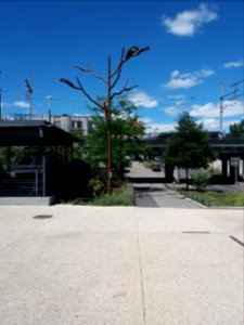 Oullins - Avenue du Rhône, lampadaire arbre à côté de la gare d'Oullins