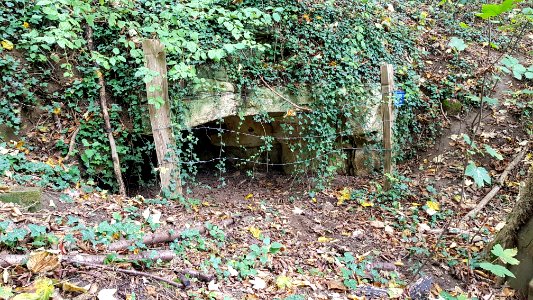 Oud-Valkenburg-Sint-Jansboschgroeve IV (4)