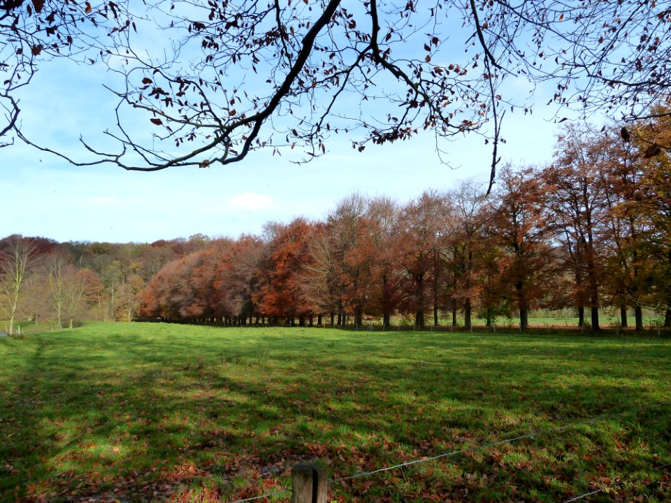 Oud-Valkenburg, Kasteel Schaloen (21)