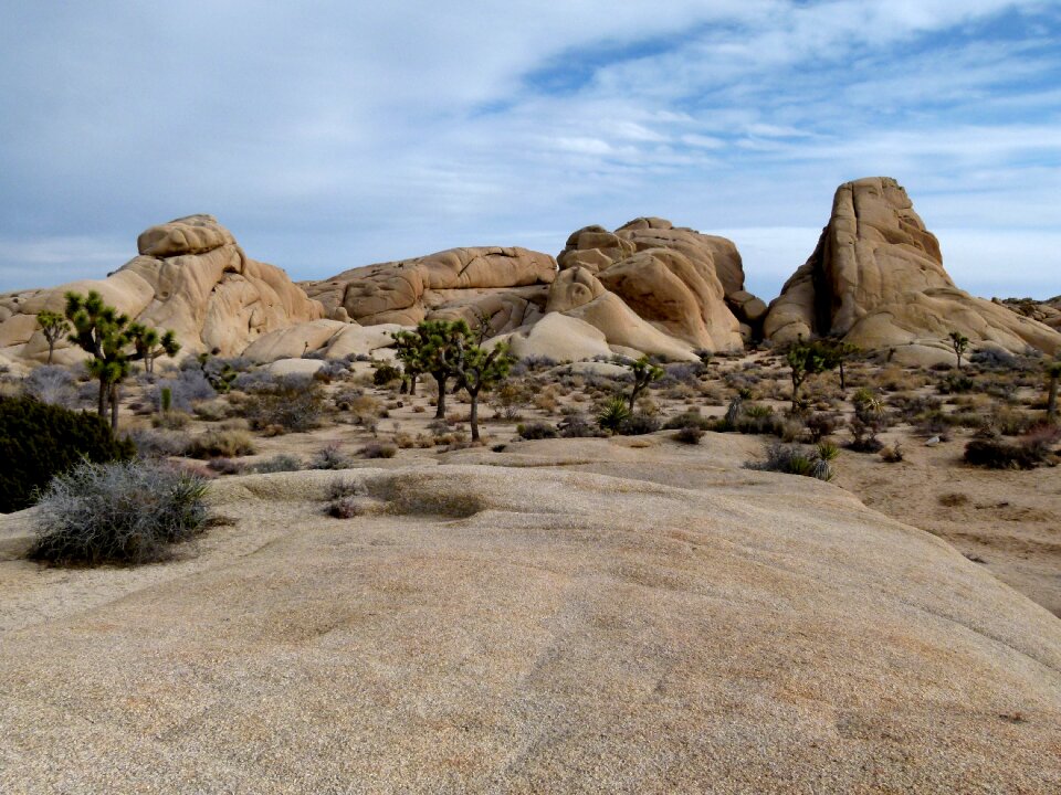 Joshua tree national park ochre colours nature