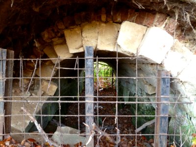 Oud-Valkenburg, Kasteel Schaloen (20)