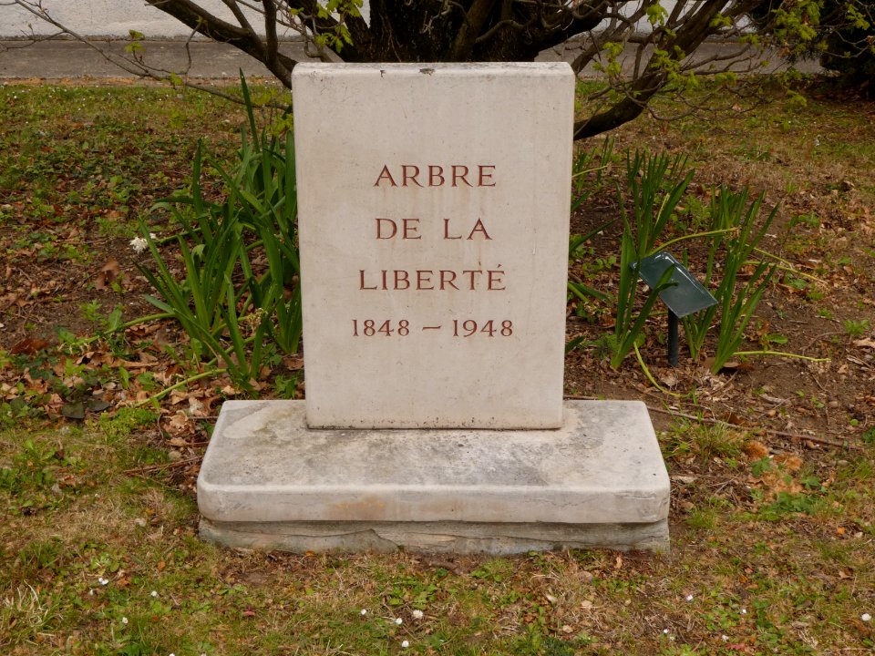 Oullins - Parc Chabrières-Arlès - Arbre de la liberté - Plaque