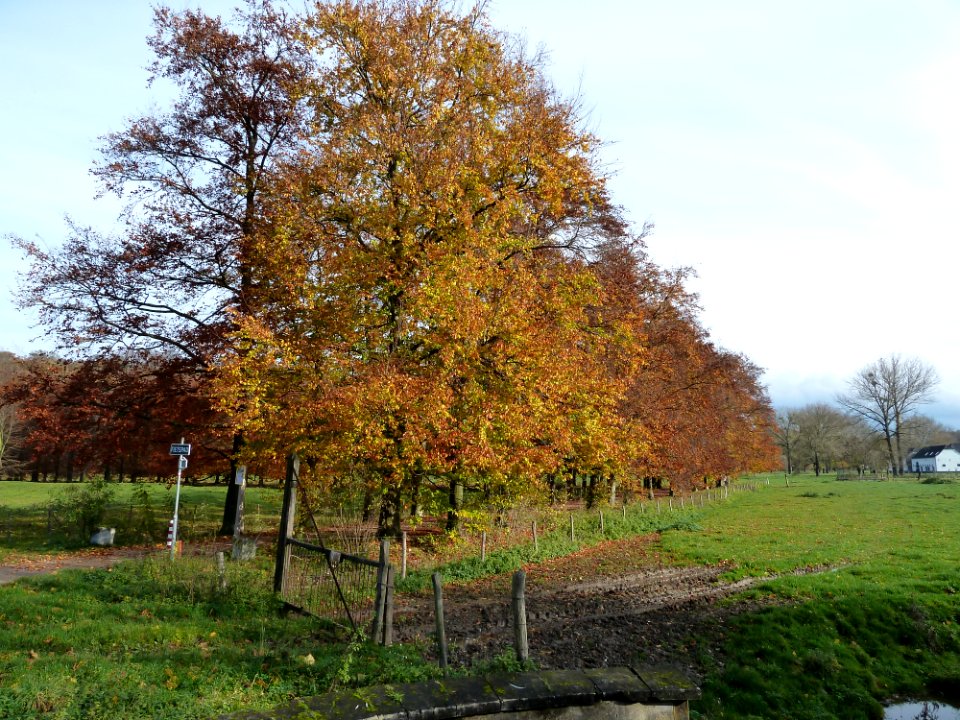 Oud-Valkenburg, Kasteel Schaloen (12)