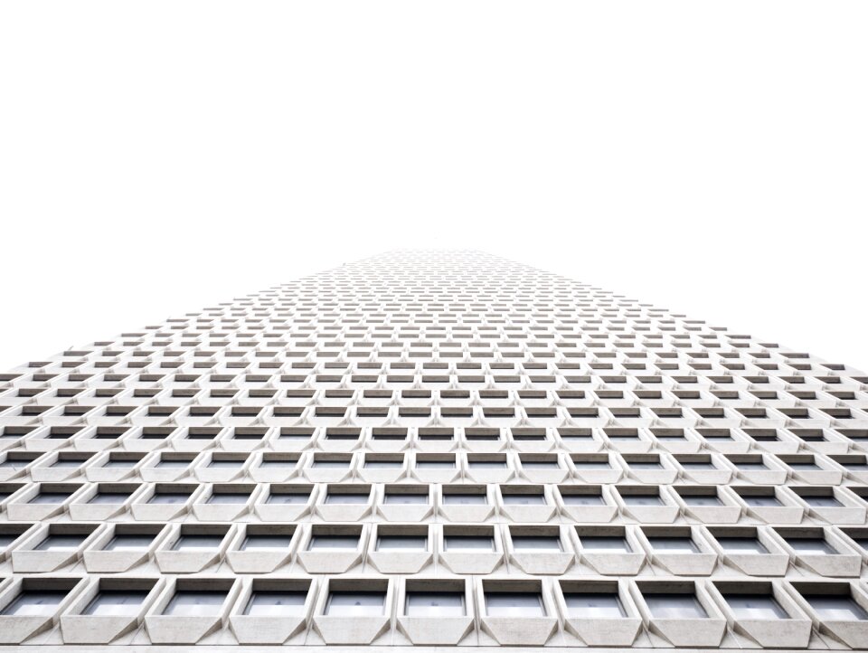 Perspective white windows