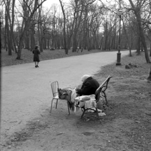 Oudere vrouw op een bankje in het park, Bestanddeelnr 254-0621