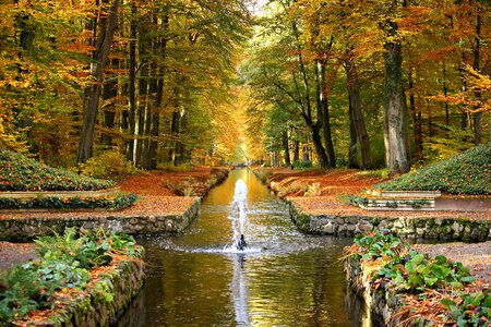 Channel autumn monk