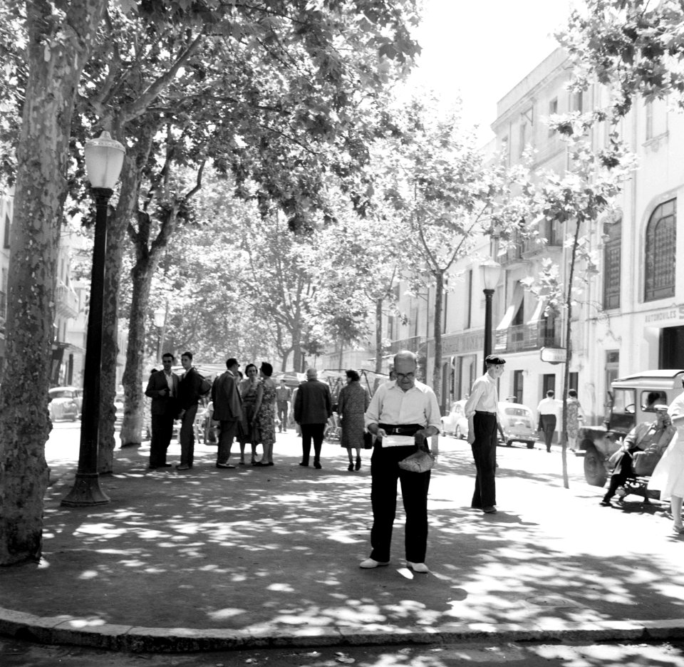 Oudere man leest een brief op de boulevard, Bestanddeelnr 254-0791