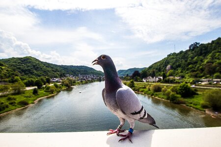 Landscape sachsen germany