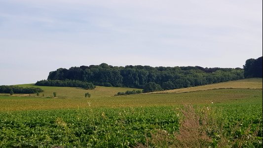 Oud-Valkenburg-Sint-Jansbosch (9)