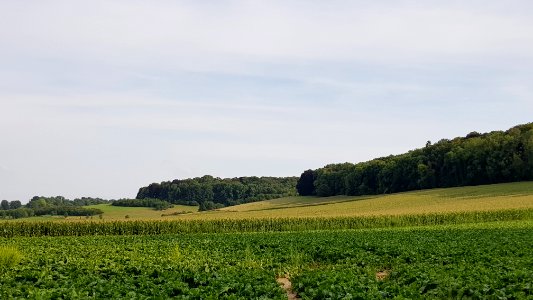 Oud-Valkenburg-Sint-Jansbosch (7)