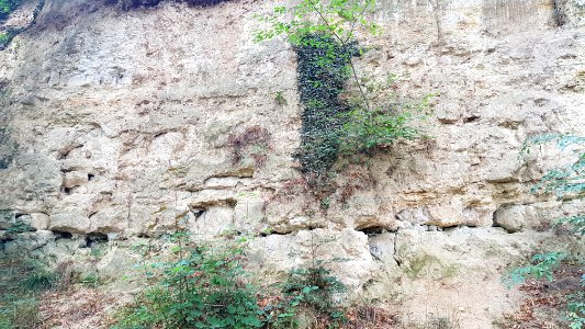 Oud-Valkenburg-Groeve bij de Drie Beeldjes (4)