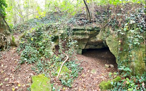 Oud-Valkenburg-Sint-Jansboschgroeve I (17)