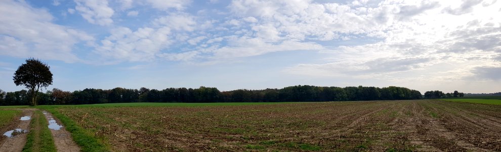 Oud-Valkenburg-Sint-Jansbosch - Biebosch (6)