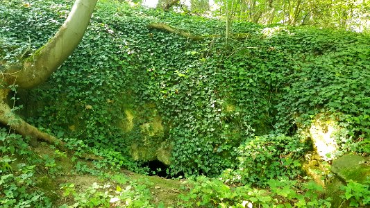 Oud-Valkenburg-Groeve Essenbosch IV (6)