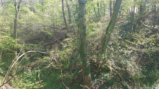 Oud-Valkenburg-Groeve van de Scheve Spar I (4)