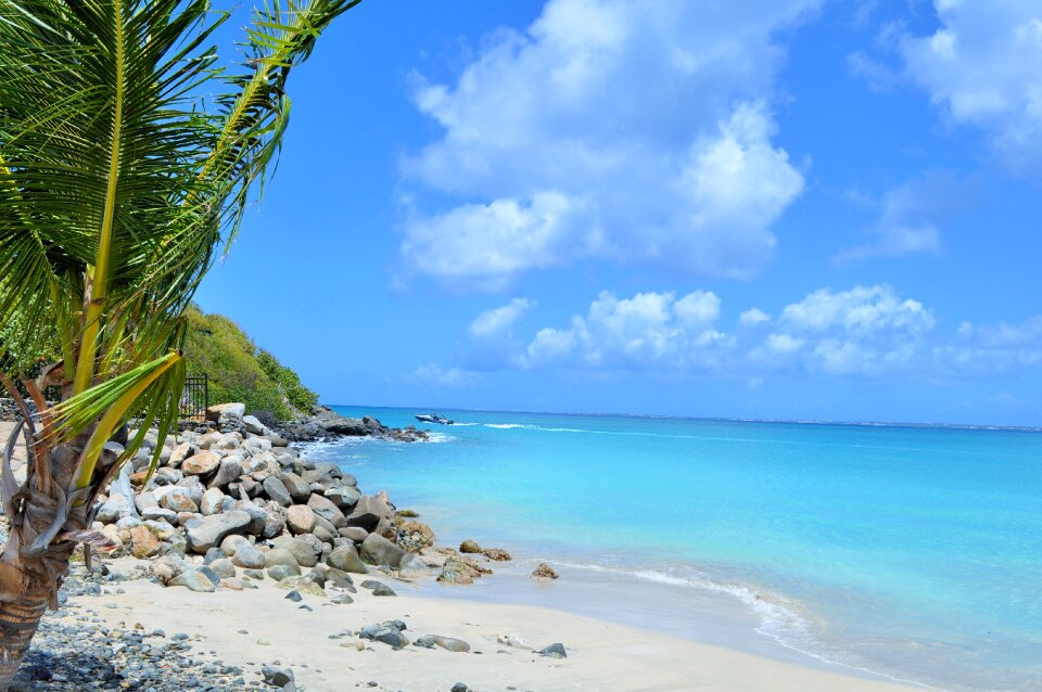 Holiday tropical caribbean