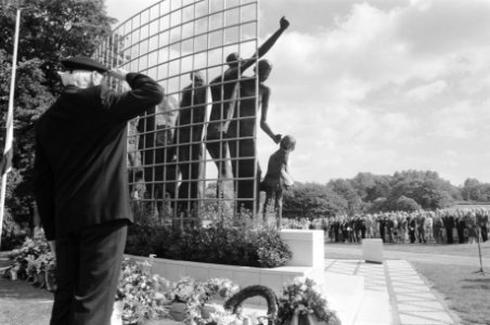 Oud-gedienden staan voor het monument, Bestanddeelnr 934-4883