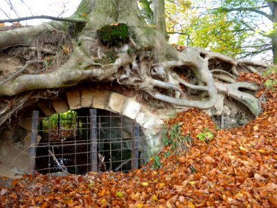 Oud-Valkenburg, Kasteel Schaloen (17)