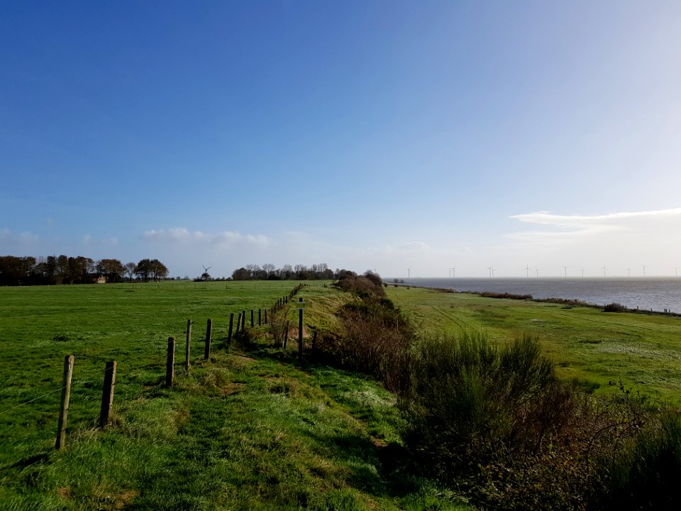 Oudemirdum-Oudemirdumer Klif (9)