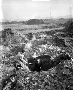 Oudheidkundige vondsten te Delft bij opgraving Kartuizerklooster, Bestanddeelnr 910-8304