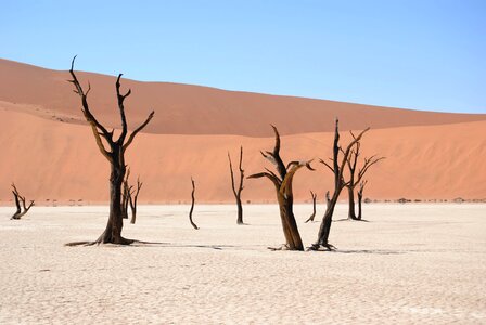 Dunes sand dry photo