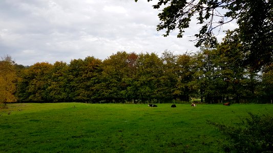 Oud-Valkenburg, Kasteel Schaloen (30)