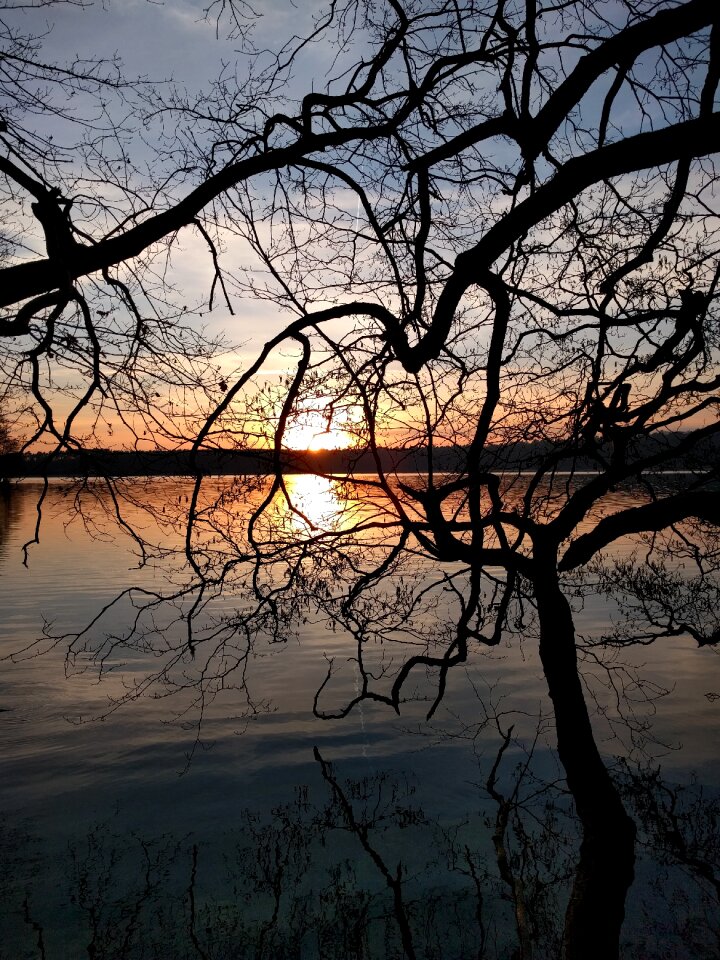 Nature water evening