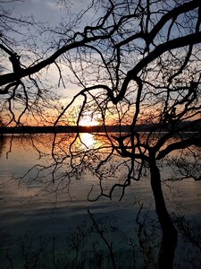 Nature water evening