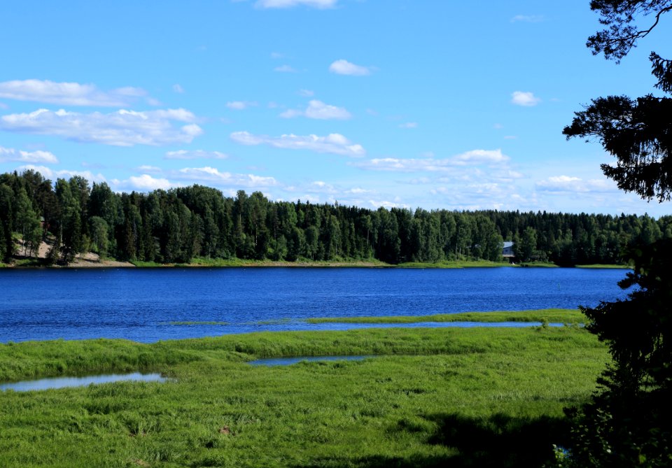 Oulujoki Muhos 20170708 03