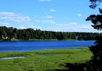 Oulujoki Muhos 20170708 03