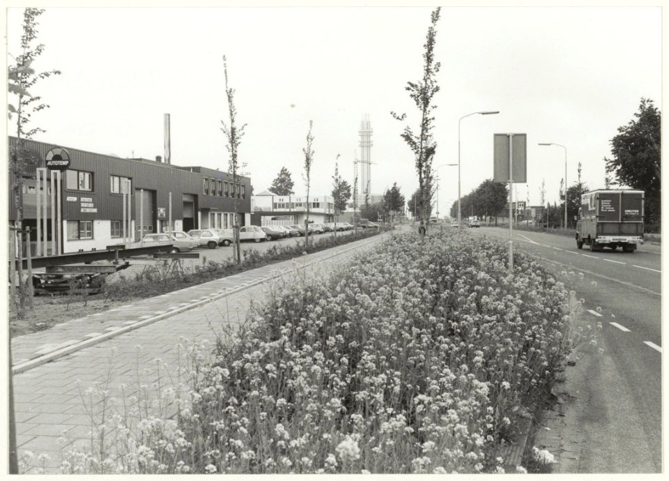 Oudeweg ziende naar het oosten. NL-HlmNHA 54015516