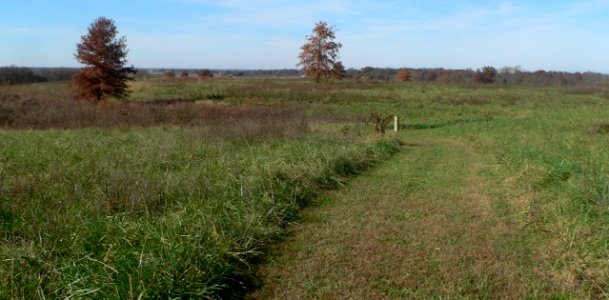 Osage Village SHS, hilltop 1