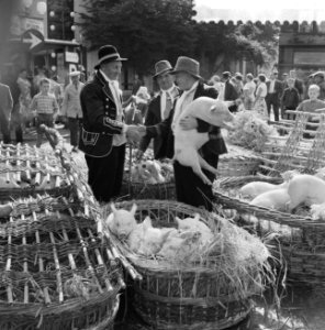 Ouderwetse keuenmarkt op de Varkensmarkt te Amersfoort, Bestanddeelnr 910-5740 photo