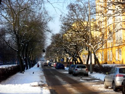 Os Leśne Bydg 11 Listopada b 01-2013
