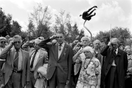 Oud-Spanje-strijders brengen salut bij de onthulling van het Spanje-monument op , Bestanddeelnr 933-6719