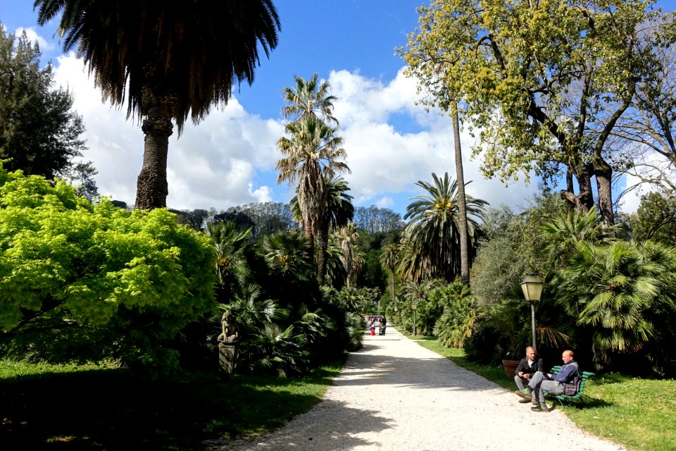 Orto botanico - Rome, Italy - DSC09824