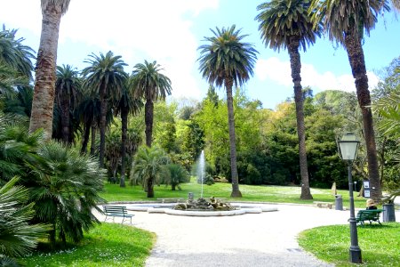 Orto botanico - Rome, Italy - DSC00321