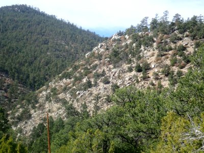 Ortega Formation at type location