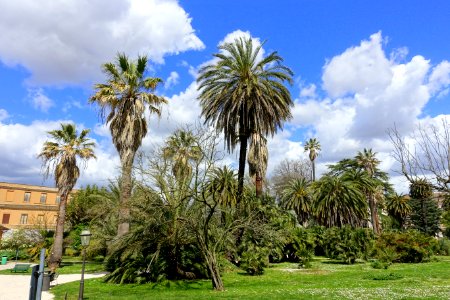 Orto botanico - Rome, Italy - DSC00301