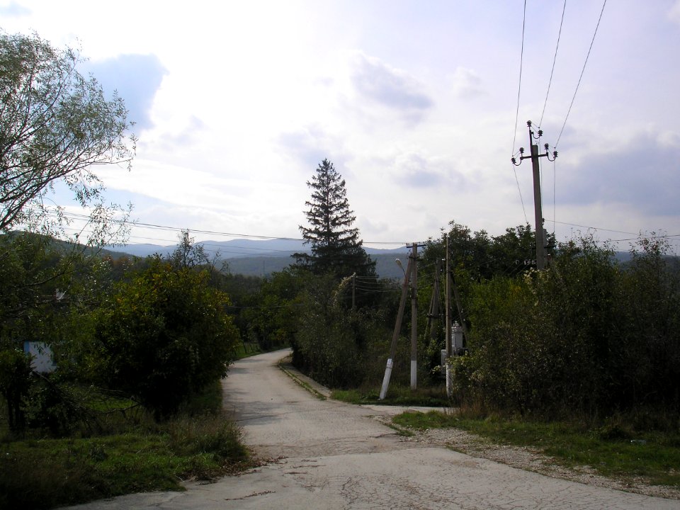 Ortalan 2
