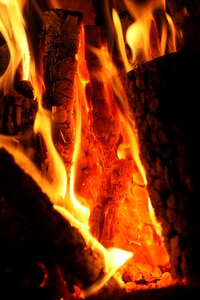 Campfire flames burn