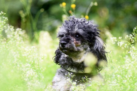 Green nature cute