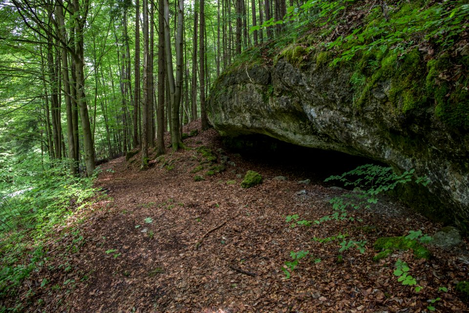 Osterloch bei Brünnthal (E 23) 04